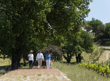 Walking tour "In the footsteps of La Mascaronne"