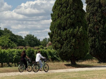 From one bank to the other, along the river: from Cérons to Cadillac - 15 km
