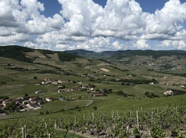 Petite visite bucolique à Brouilly