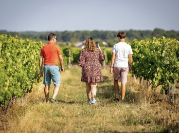 From our vines to your palate, on foot