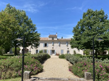 Balade vigneronne à l’ombre du Géant de Provence