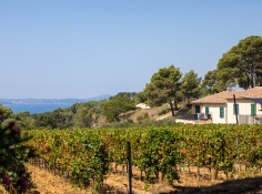 Domaine La Navicelle