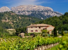 Domaine des Bernardins