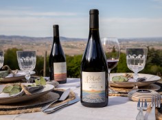 Château de la Perrière