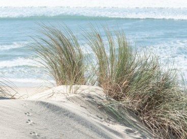 [L'EQUIPE] Qui sommes-nous ?