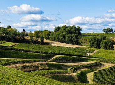 Quoi de neuf ? 4 Nouvelles Bulles Vertes sur le Vignoble Bordelais