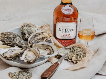 Visitez la région du Cognac et arpentez ses vignes - Maison Boinaud