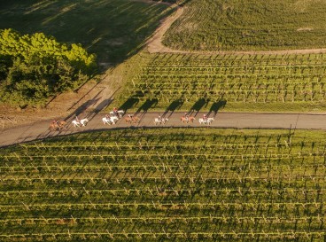 A la recherche d'un week-end durable ?