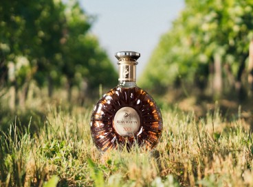 Une douce découverte du vignoble de Cognac