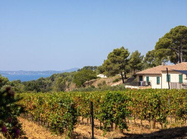 Top 7 des destinations accessibles en train en 2025