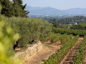 Partir visiter la Provence : les 10 adresses à ne pas manquer autour de Toulon !