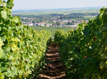 Les 10 adresses à ne pas manquer en Champagne