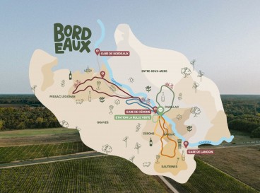 L’innovation œnotouristique : découvrir le vignoble des Graves et Sauternes à vélo !