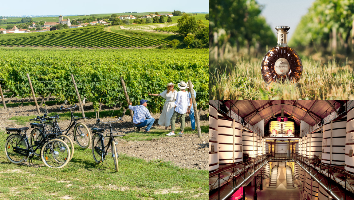 Maison Rémy Martin - 1