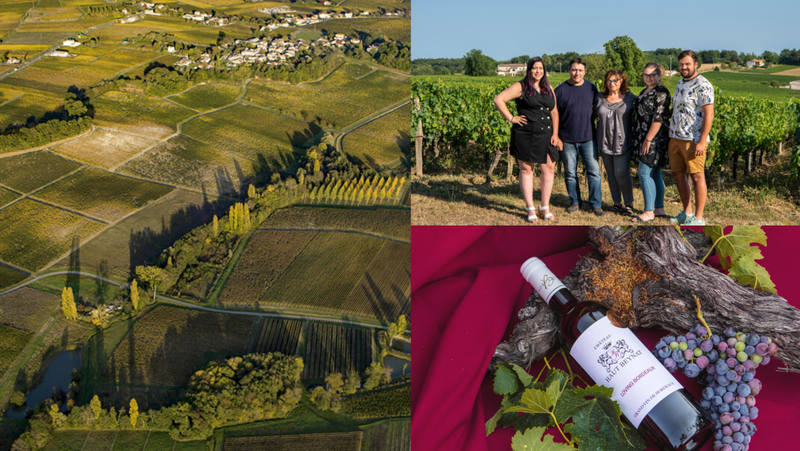 Château Haut-Beynat - Vignobles Cardoso - 1