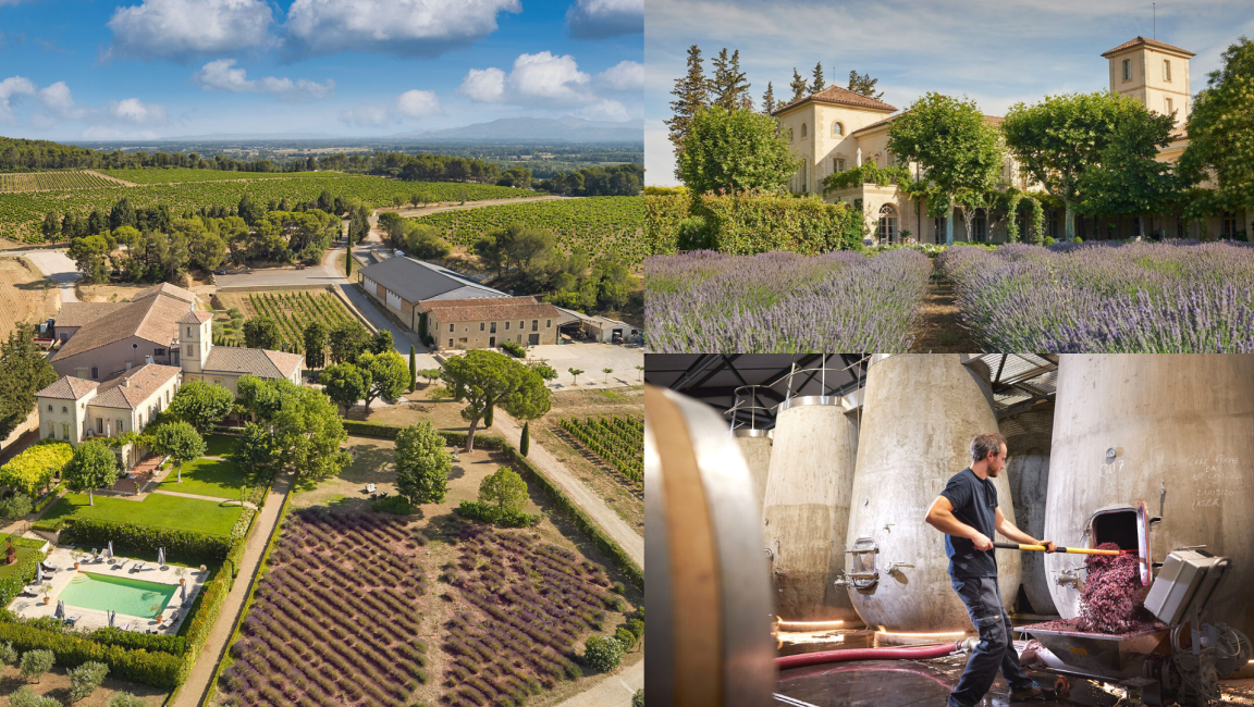 Château Gigognan - 1