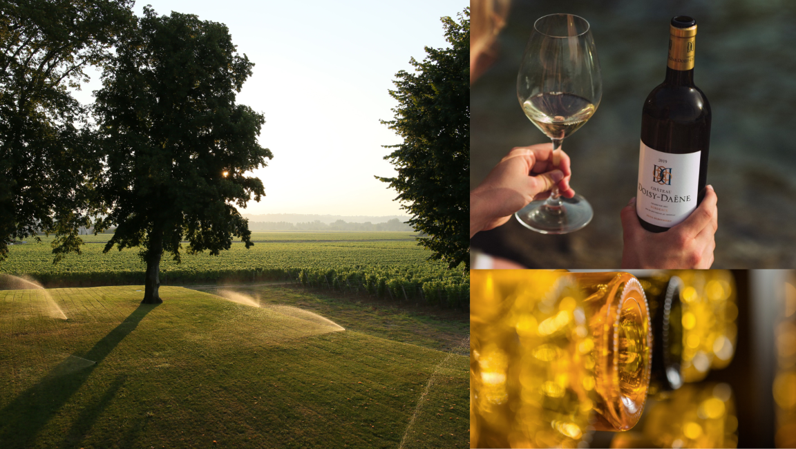 Château Doisy-Daëne - 1