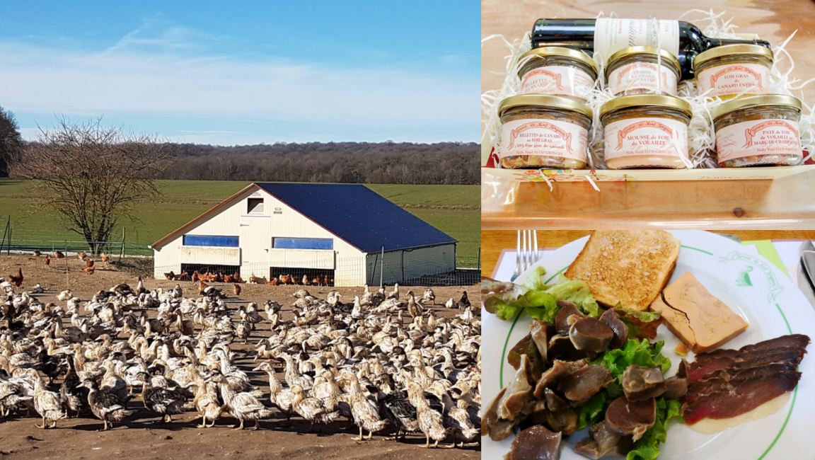 Auberge Saint-Fergeux - Producer of foie gras - 1