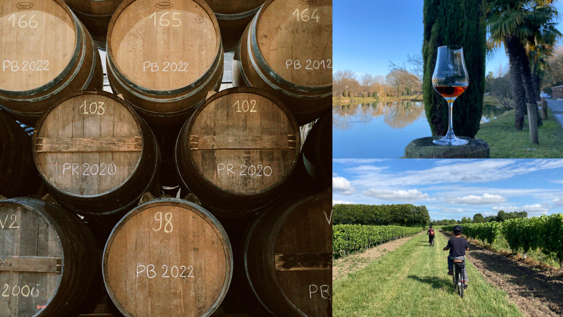 Cognac Ernest&Louis - 1