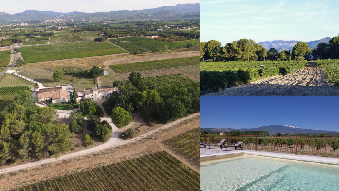 Château la Croix des Pins - 1