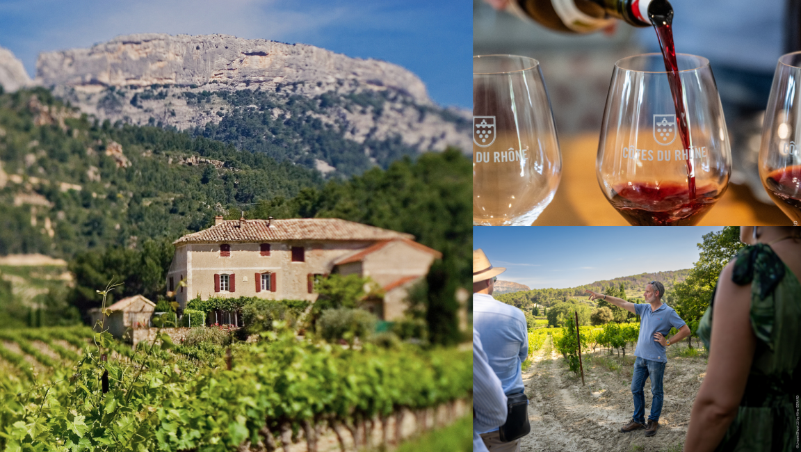 Domaine des Bernardins - 1