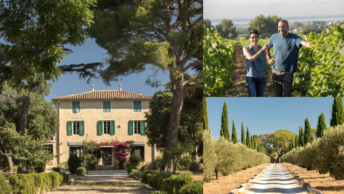 Château Beaubois - 1