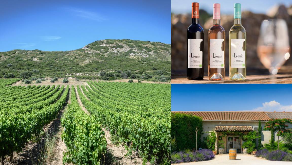 Domaine La Cadenière - 1