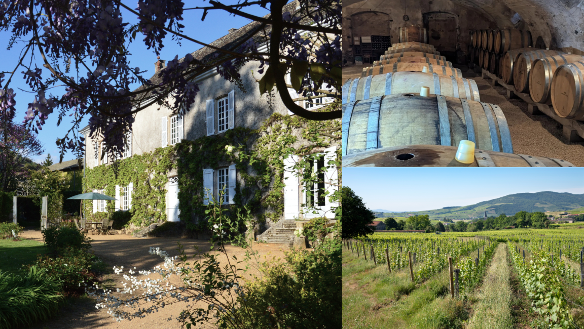 Domaine Frédéric Berne - 1