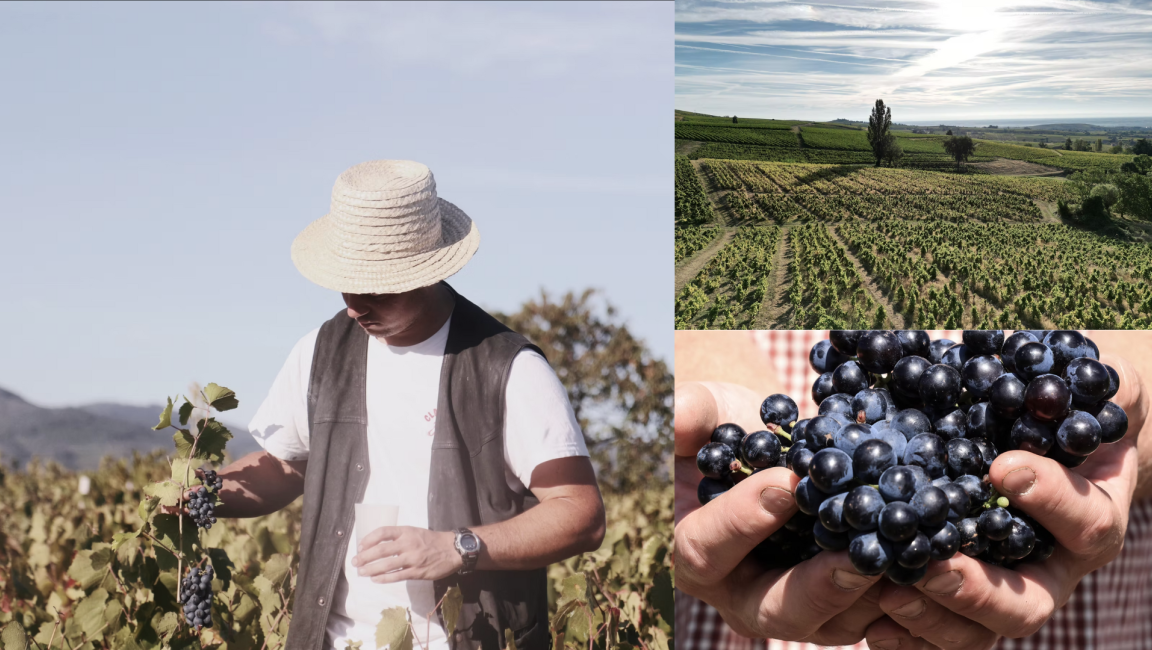 Domaine de La Roche - 1