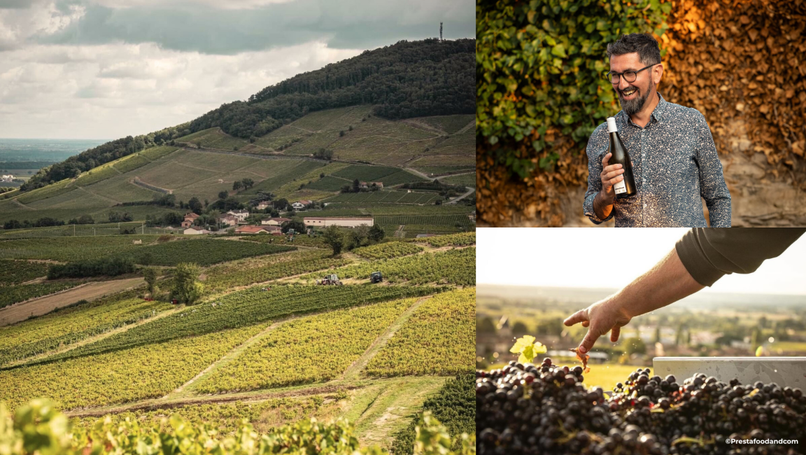 Château de la Perrière - 1