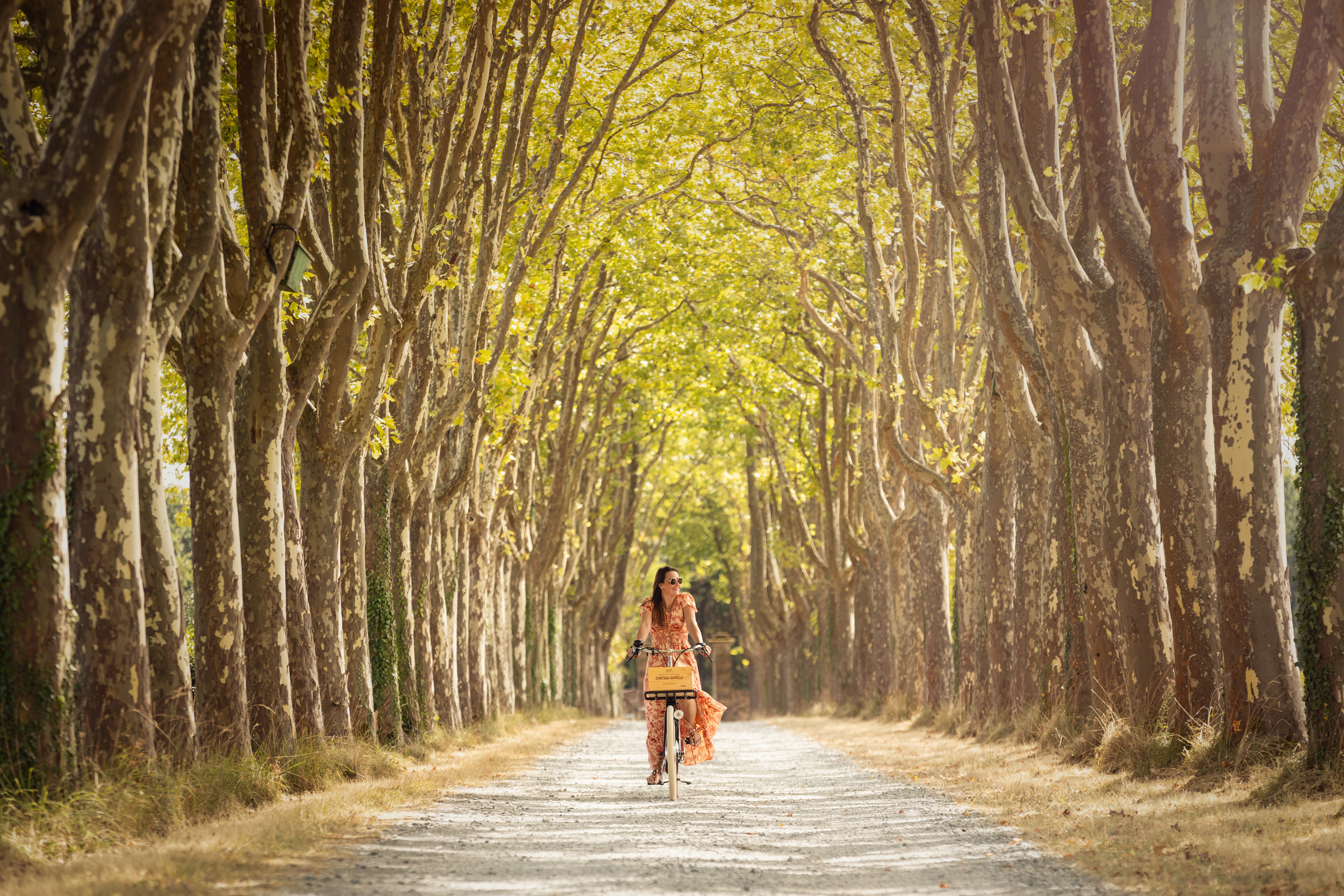 La Bulle Verte, Château Guiraud, Exploration Tranquille, Sauternes,