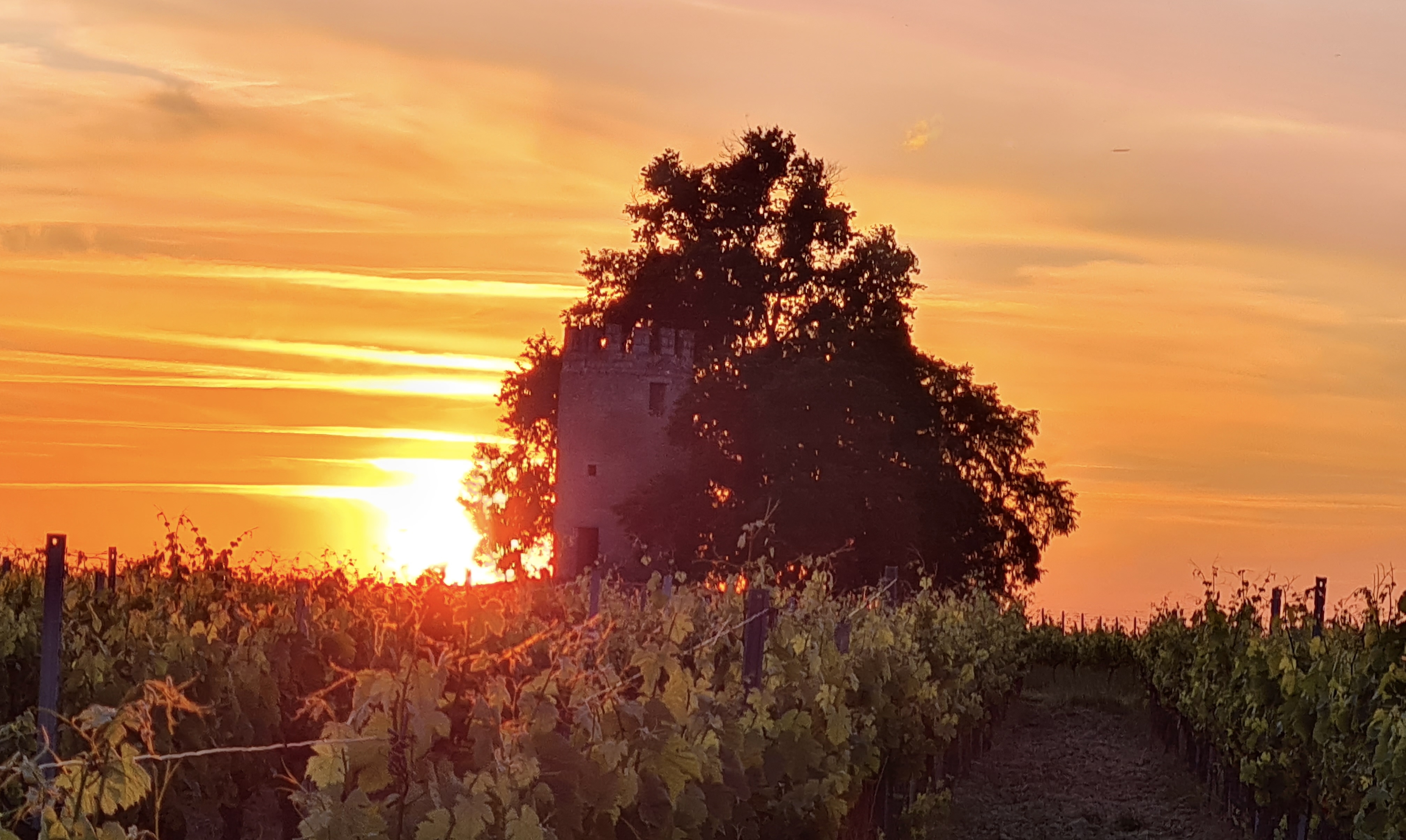 Château Vieille Tour, Exploration Tranquille, La bulle