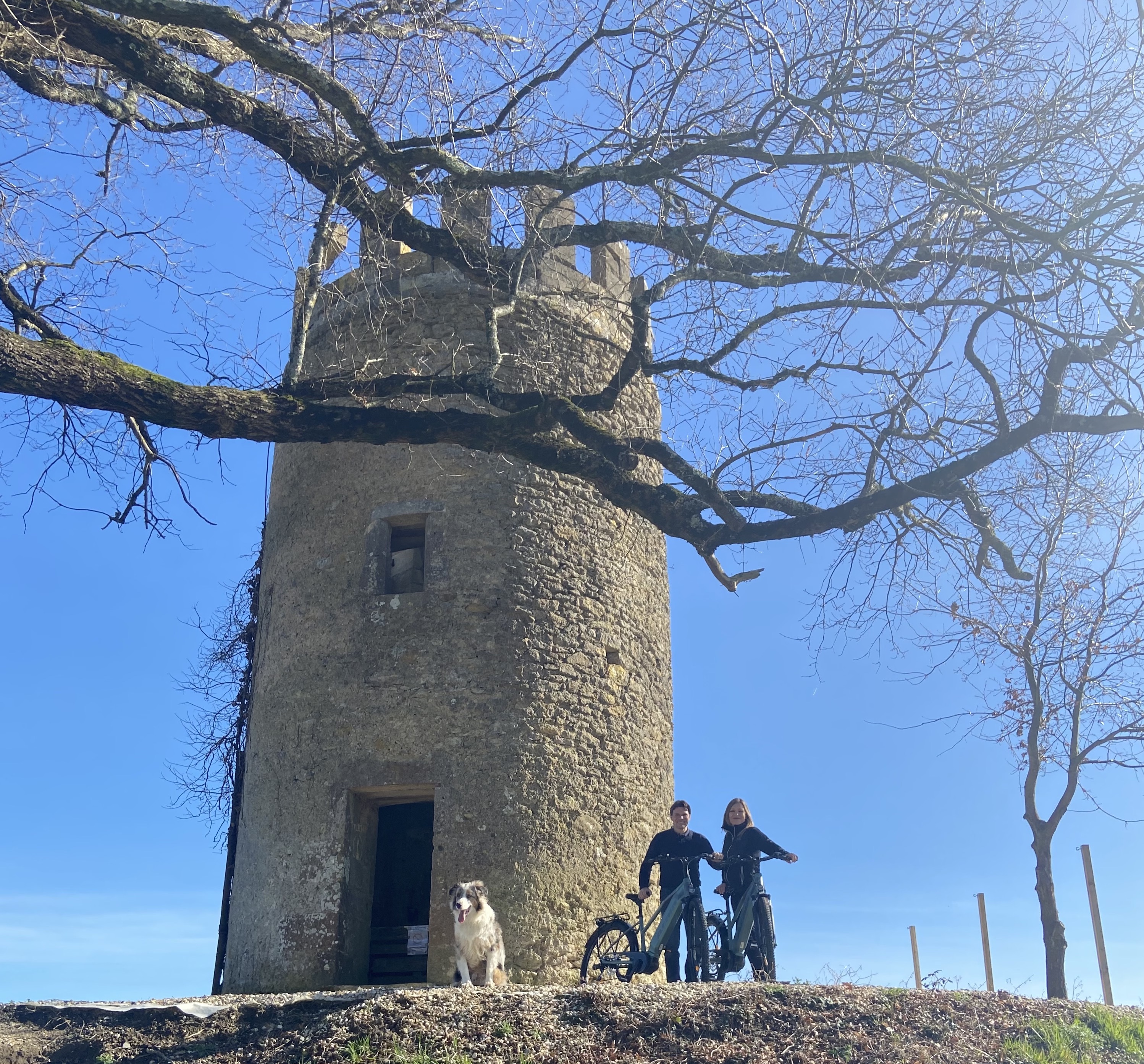 La Bulle Verte, Vieille Tour