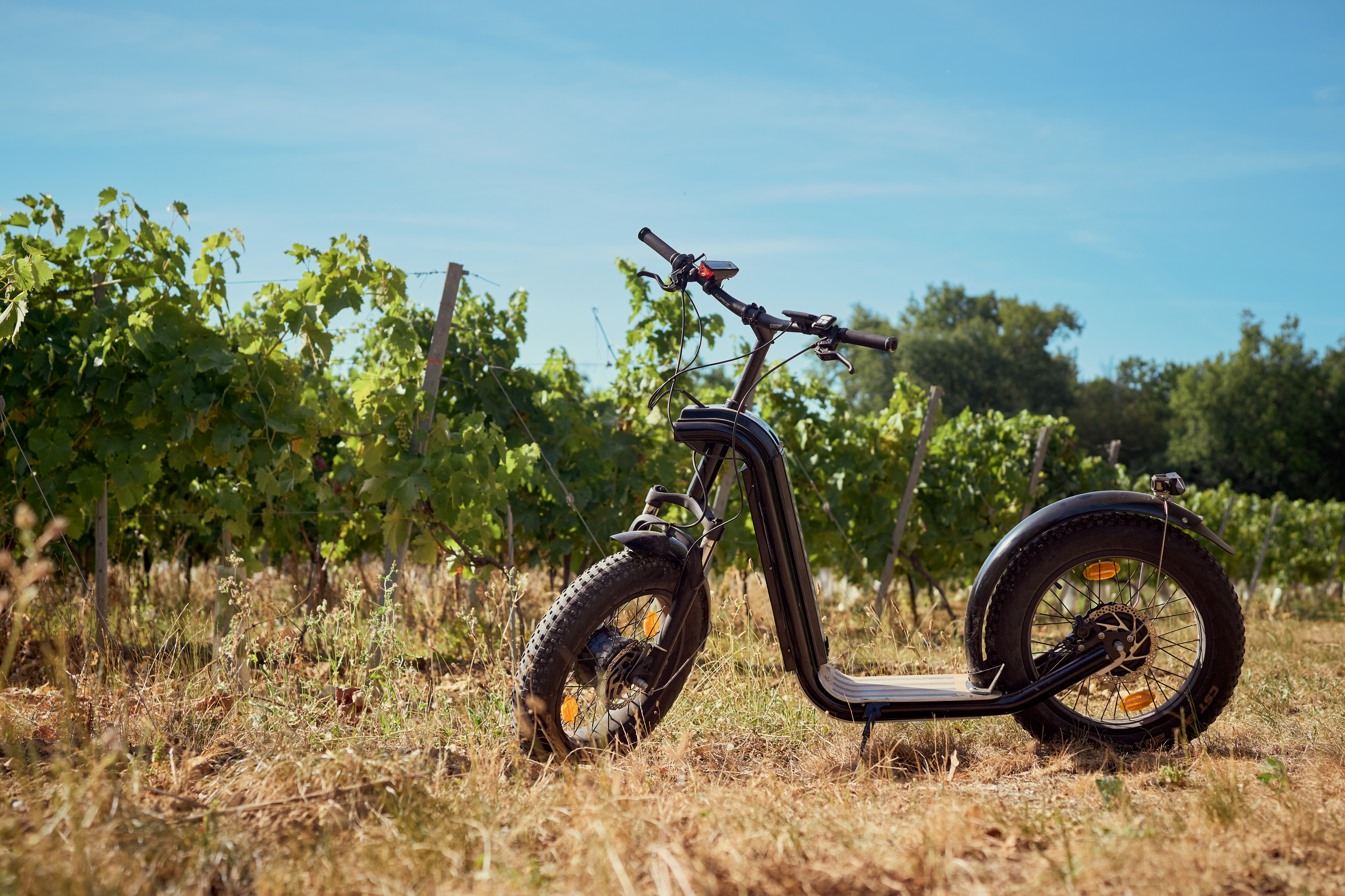 La Bulle Verte, Exploration Tranquille, Trottinettes électriques, Cap Ferret, Bassin d'Arcachon